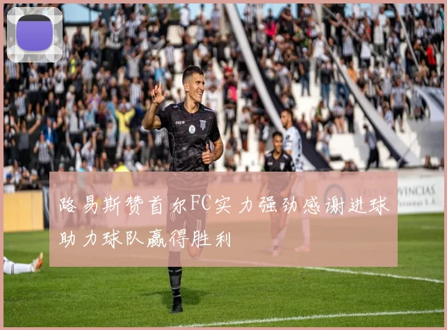 路易斯赞首尔FC实力强劲感谢进球助力球队赢得胜利
