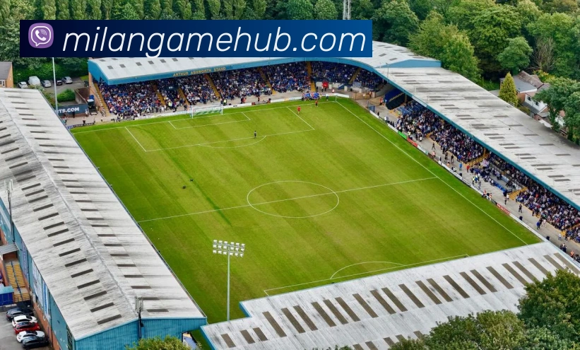 米兰体育APP 封面图